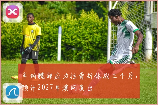 辛纳髋部应力性骨折休战三个月，预计2027年澳网复出